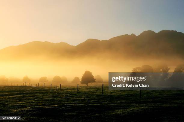 foggy field at sunrise, new zealand - south westland stock-fotos und bilder