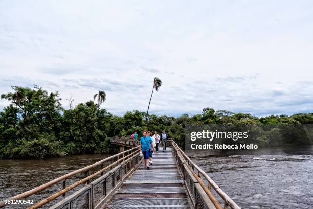 crossing over iguazu river on the footbridge - puerto iguazu stock pictures, royalty-free photos & images