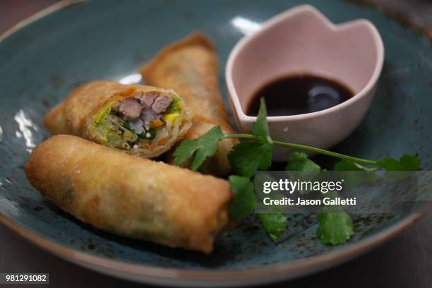 duck spring rolls - chicken spring rolls stock pictures, royalty-free photos & images