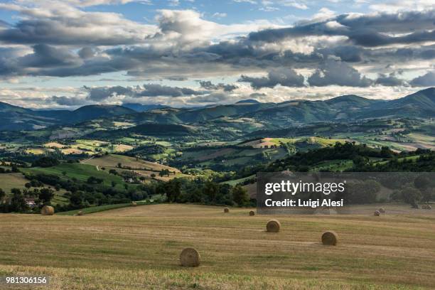 nuvole di fine luglio - panorama di nuvole fotografías e imágenes de stock