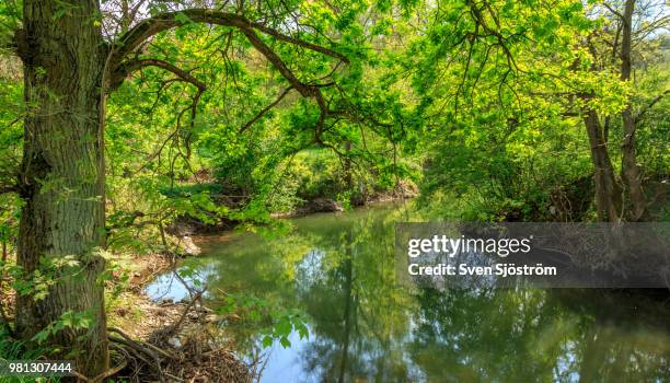 Fresh Green At The River Murr High-Res Stock Photo