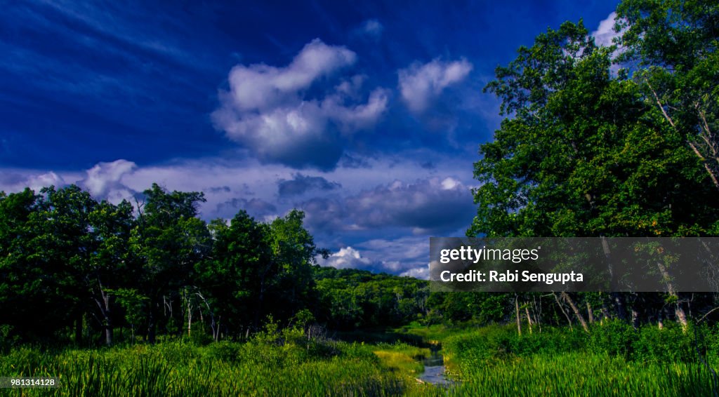 Scuppernong Creek