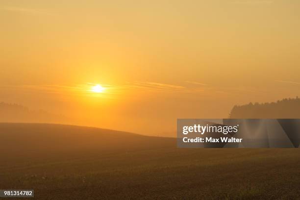 nebliger sonnenaufgang - sonnenaufgang stock pictures, royalty-free photos & images