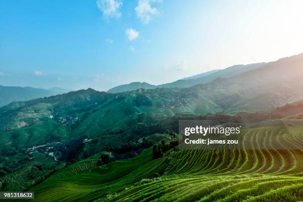 longsheng terrace 2 - longsheng stock pictures, royalty-free photos & images