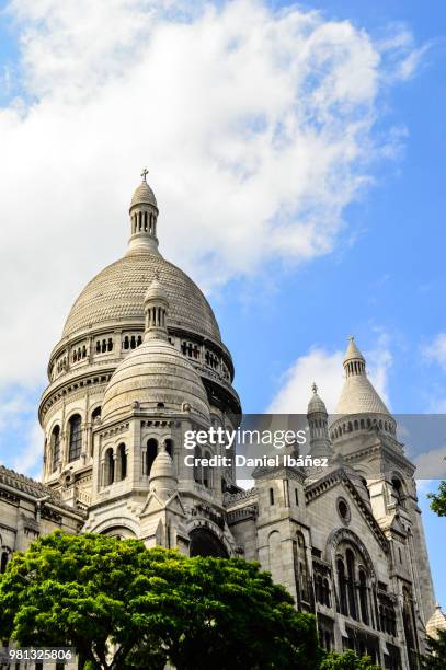 low angle view of basilique du sacre coeur, montmatre, paris, france - arbre coeur stock pictures, royalty-free photos & images