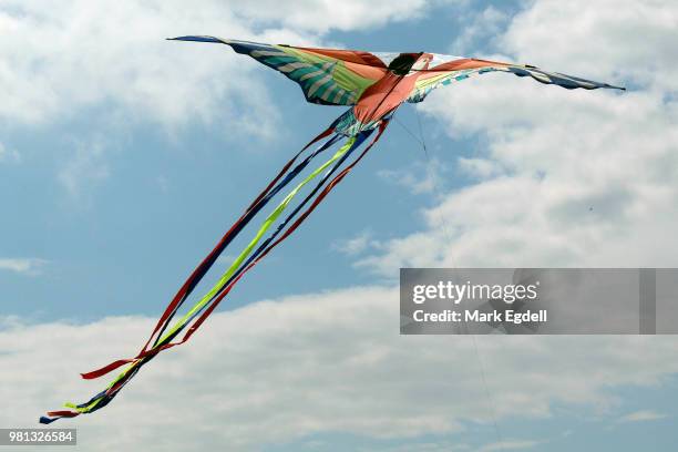 silloth kite festival - silloth stock pictures, royalty-free photos & images