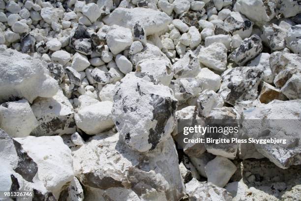 Flint In Limestone Flint Texture Photos and Premium High Res Pictures - Getty Images