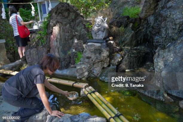 money washing to increase fortune at kumano shrine in kawagoe, japan - shichi fukujin stockfoto's en -beelden