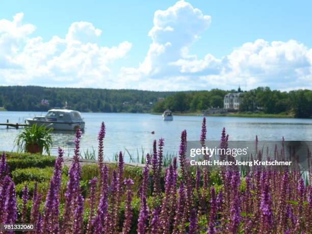 lake near gripsholm castle - schloss gripsholm - gripsholm stock pictures, royalty-free photos & images