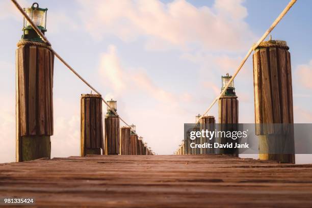 low angle view of wooden pier, islamorada, florida, usa - islamorada stock-fotos und bilder