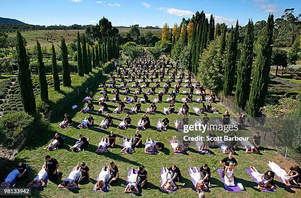 Volunteers receive a professional massage from qualified therapists as they break a world record for the largest ever simultaneous massage during...