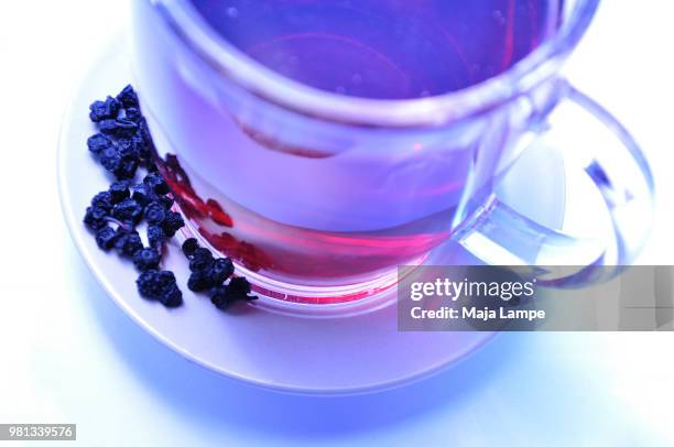 blueberry tea - lampe stockfoto's en -beelden