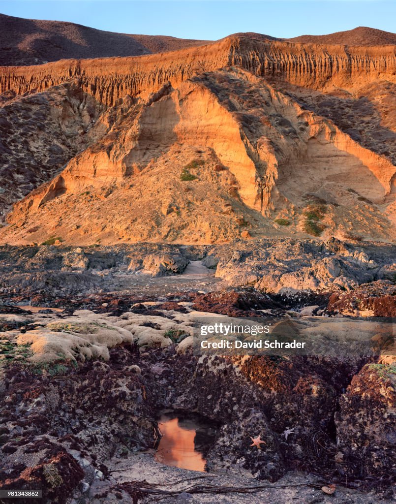 Ochre Star Sunset