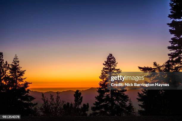 sequoia national park sunset - nick haynes stock pictures, royalty-free photos & images