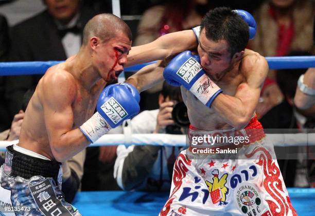 Pongsaklek Wonjogkam of Thailand and Koki Kameda of Japan during the WBC flyweight title bout at Ariake Colosseum on March 27, 2010 in Tokyo, Japan....