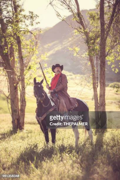 cowboy sheriff with paint horse - paint horse stock pictures, royalty-free photos & images