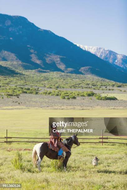 cowboy sheriff met paard van de verf - pinto's stockfoto's en -beelden