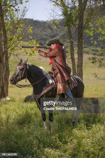 cowboy sheriff met paard van de verf - pinto's stockfoto's en -beelden