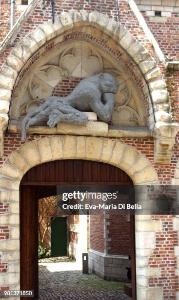 blick in den innenhof, antwerpen, belgien - belgien fotografías e imágenes de stock