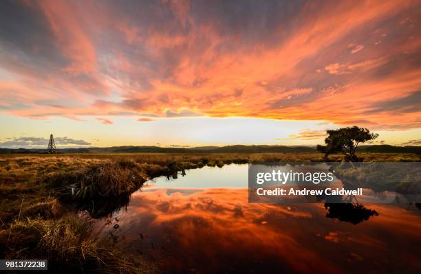 tussock tarn sunset iv - andrew caldwell stock pictures, royalty-free photos & images