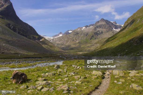 way to aperen turm - turm stock pictures, royalty-free photos & images