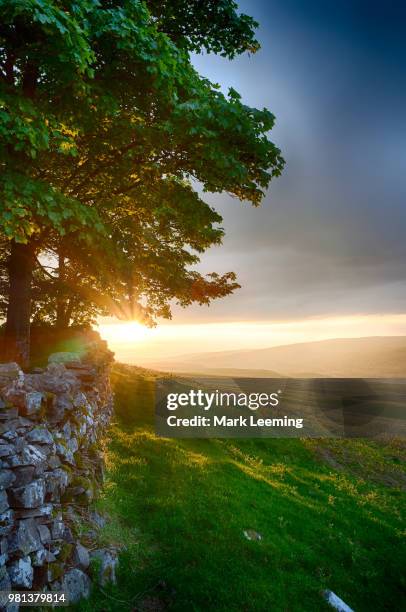 golden hour in weardale - weardale stock pictures, royalty-free photos & images