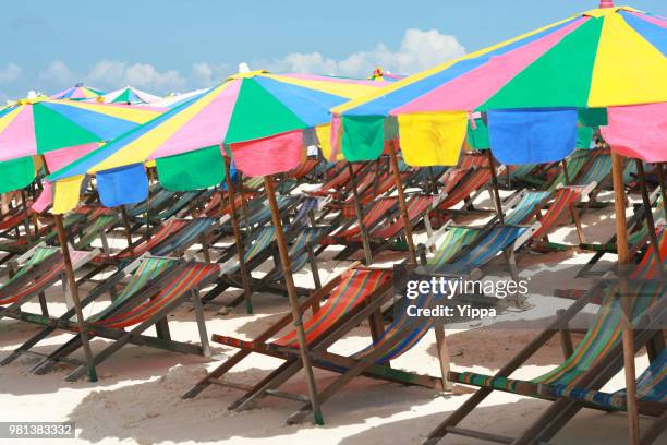 colourful canopies with sun loungers on beach - belvedere stock pictures, royalty-free photos & images