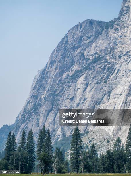 trees with mountain in background, yosemite national park, california, usa - yosemite daniel stock-fotos und bilder