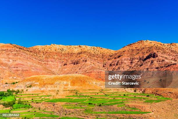 Middle Atlas 1,400 Middle Atlas Mountains Stock Photos, High-Res Pictures, and ...