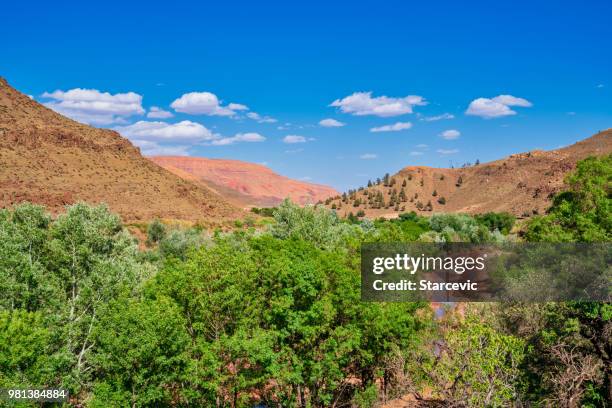 Middle Atlas 1,400 Middle Atlas Mountains Stock Photos, High-Res Pictures, and ...