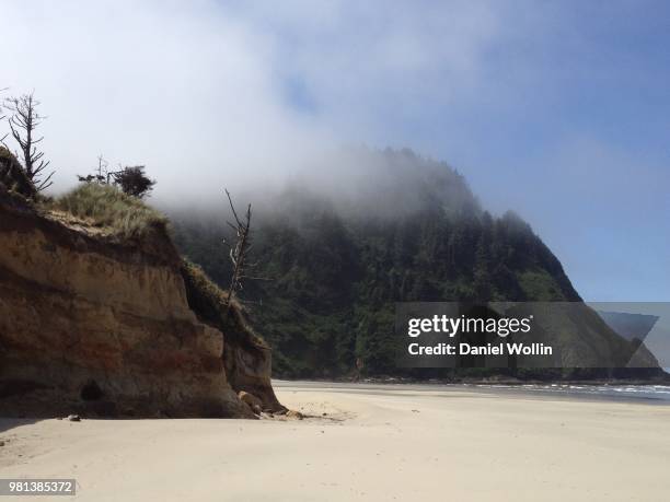 fog at heceta head - oregon coast - heceta head stock pictures, royalty-free photos & images
