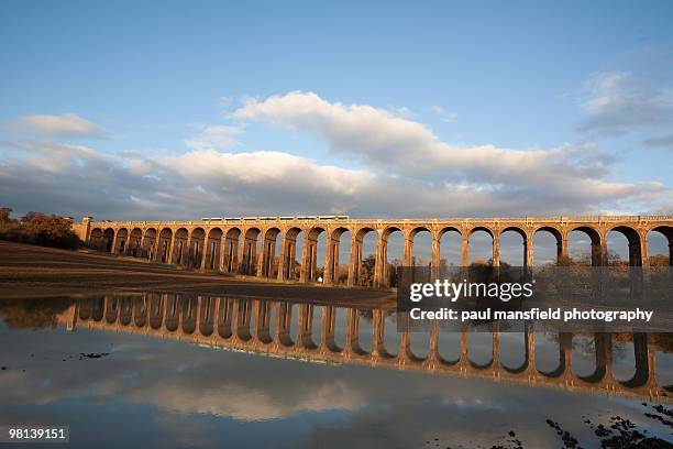 balcombe viaduct reflection - balcombe stock pictures, royalty-free photos & images