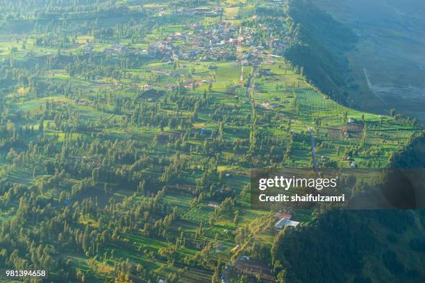 cemoro lawang is a very small hamlet north-east of mount bromo, indonesia with the altitude of 2,217 meters above sea level. administratively, this hamlet is a part of ngadisari village. - shaifulzamri bildbanksfoton och bilder