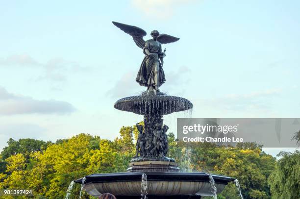 bethesda fountain - lee angel bildbanksfoton och bilder