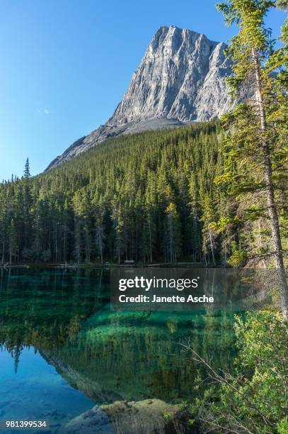 ha ling peak reflecting in water, grassi lakes, bow valley provincial park, alberta, canada - bow valley fotografías e imágenes de stock