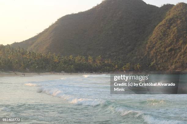 venezuela: choroní beach - sandy alvarado stock pictures, royalty-free photos & images