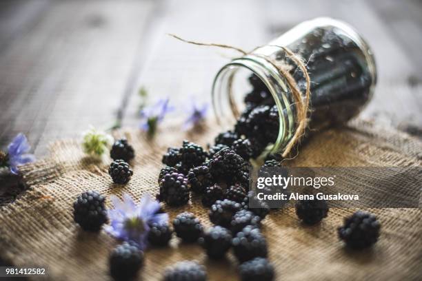 blackberries on table, russia - blackberry fotografías e imágenes de stock