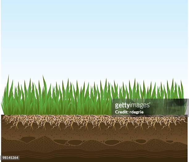 grass detail with roots and dirt - cross section of earth stock illustrations