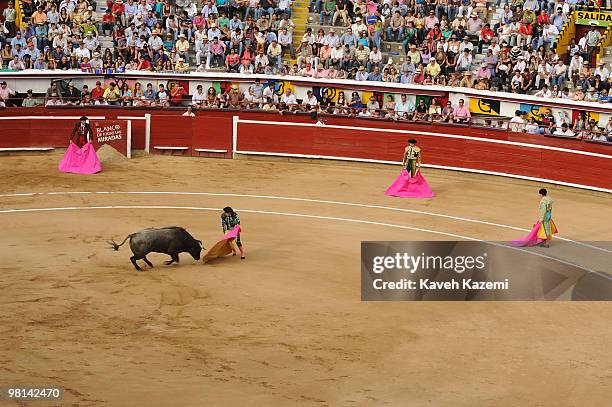 Plaza de Toros de Canaveralejo bullfighting ring during Cali Fair. Bullfighting also known as tauromachy is a traditional spectacle of Colombia, in...