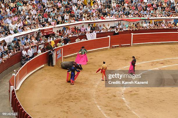 Plaza de Toros de Canaveralejo bullfighting ring during Cali Fair. Bullfighting also known as tauromachy is a traditional spectacle of Colombia, in...