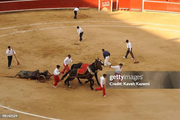 Plaza de Toros de Canaveralejo bullfighting ring during Cali Fair. Bullfighting also known as tauromachy is a traditional spectacle of Colombia, in...