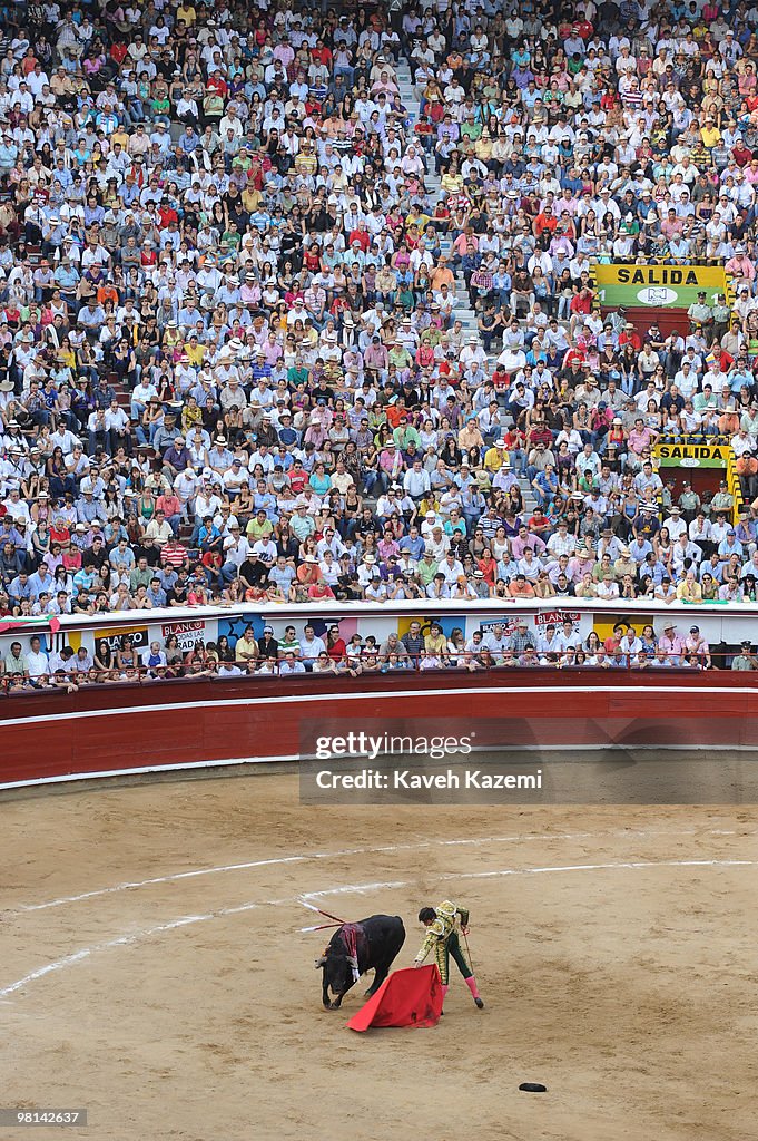Bullfighting in Cali, Colombia