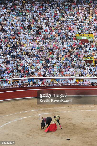 Plaza de Toros de Canaveralejo bullfighting ring during Cali Fair. Bullfighting also known as tauromachy is a traditional spectacle of Colombia, in...