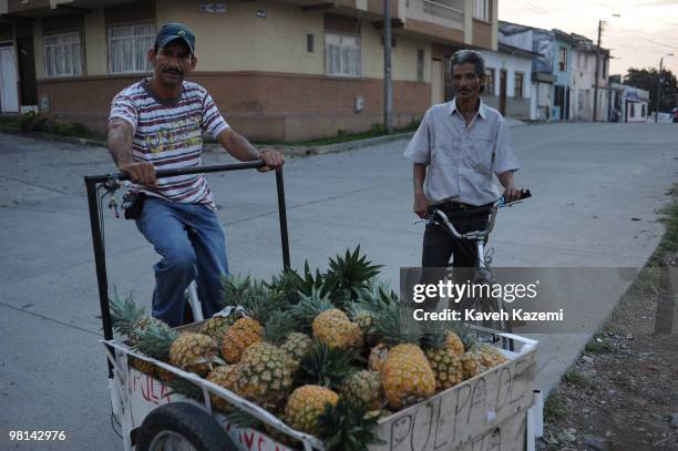 Man selling pineapples on a cart seen with a local on bicycle in a typical neighborhood at dusk in the city. Quimbaya is a town and municipality in...