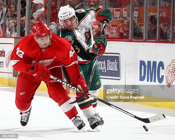 Darren Helm of the Detroit Red Wings and Marek Zidlicky of the Minnesota Wild battle for the loose puck during an NHL game at Joe Louis Arena on...