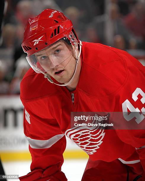 Darren Helm of the Detroit Red Wings gets ready for the face-off during an NHL game against the Minnesota Wild at Joe Louis Arena on March 26, 2010...