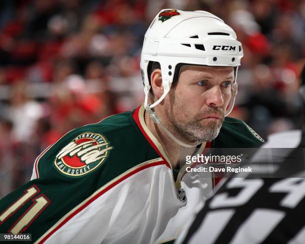 Owen Nolan of the Minnesota Wild gets set for the face-off against the Detroit Red Wings during an NHL game at Joe Louis Arena on March 26, 2010 in...