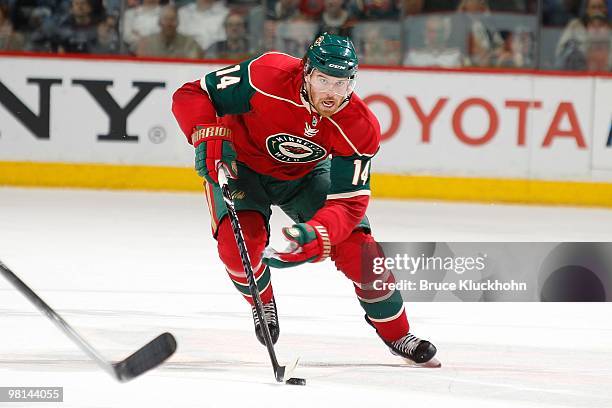 Martin Havlat of the Minnesota Wild skates with the puck against the San Jose Sharks during the game at the Xcel Energy Center on March 23, 2010 in...