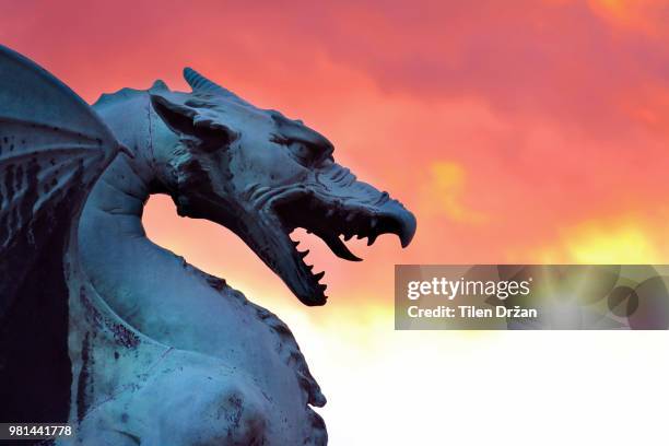 angered - dragons stock pictures, royalty-free photos & images