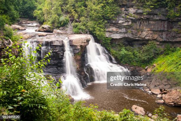 waterfall in forest, blackwater falls state park, west virginia, us - blackwater falls stockfoto's en -beelden